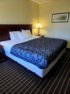 Postel nebo postele na pokoji v ubytování Ashford Motel