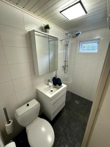 Et badeværelse på 3 bedrooms Family House till 6 p Near Amsterdam & Sea + 13 billeder