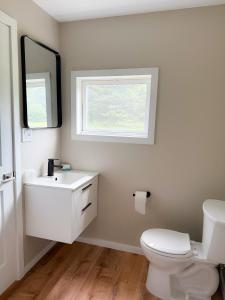 een badkamer met een wit toilet en een wastafel bij Cascade Inn in Lake Placid