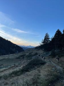 Afbeelding uit fotogalerij van Guest house River side in Adishi