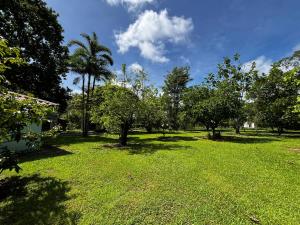 Zahrada ubytování hotelsonidosamados-osa