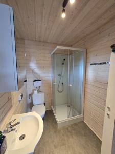 a bathroom with a shower and a sink and a toilet at Domki Śnieżka in Wojcieszyce