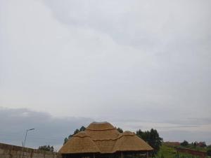 Φωτογραφία από το άλμπουμ του Villa Garbon Safaris Hotel σε Nalakonge