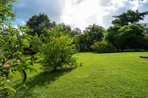 a field of grass with trees in the background at La Kaz Zen - Cozy house with garden in Les Abymes