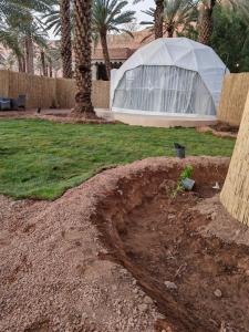 uma grande estufa em um quintal com uma palmeira em نيوم العلا em Al Ula