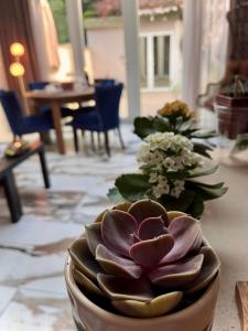 Φωτογραφία από το άλμπουμ του Double Ensuite in Prestige Location στο Δουβλίνο