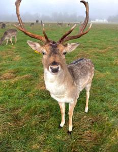 Φωτογραφία από το άλμπουμ του Double Ensuite in Prestige Location στο Δουβλίνο