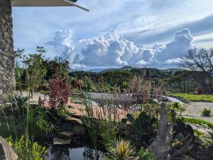 a garden with a pond and flowers and a cloudy sky at Villa Piedra Viva in Tilarán +12 photos