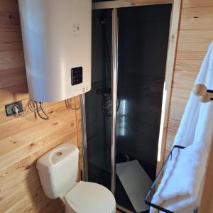 a small bathroom with a toilet and a shower at Casute La Struti in Tîrgu Neamţ