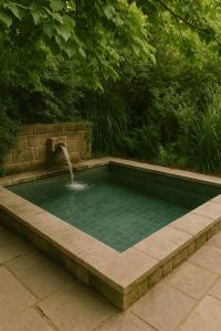 einen Pool mit einem Brunnen im Garten in der Unterkunft White Ventoux-central-parking gratuit-securise-terrasse & jardin in Malaucène