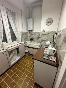 Airb&b Mery Milano-Cortina في ميلانو: مطبخ صغير مع كونتر ومغسلة