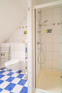 a bathroom with a shower and a toilet at Ma Vie'La - Swimming Pool - Balneo - Jacuzzi - Sauna in Rhinau