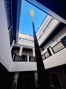 Balkón nebo terasa v ubytování Hotel Cecil