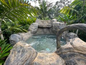 a rock pool with a waterfall in a garden at Serene Oasis Hideaway in Fortuna