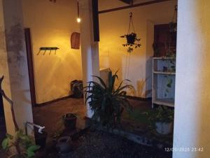 a room with a pillar and a plant in it at Grandma's House Villa in Weligama