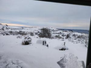 Mountain Cottage with Barn Sauna, Clonbur, Galway في Clonbur: حقل ثلجي مغطى بالشجيرات والأشجار
