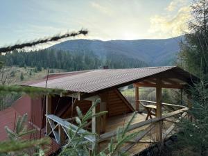 a wooden cabin with a roof with mountains in the background at Domik v gorakh in Bukovets