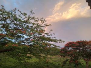 Φυσικό τοπίο κοντά σε αυτή η παραθεριστική κατοικία