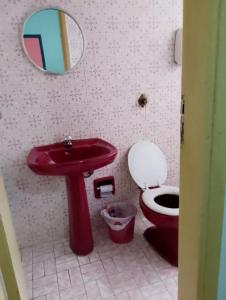 Hotel Flamingo's في سانتوس: حمام مع حوض احمر ومرحاض