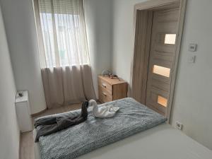 Ένα ή περισσότερα κρεβάτια σε δωμάτιο στο DowntownKate