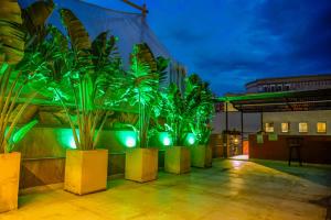 Κήπος έξω από το hotel civitas medellin