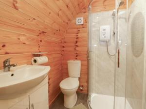 a bathroom with a toilet and a sink and a shower at Rowan in Ulverston +20 photos