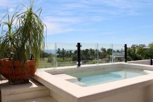 a swimming pool on a balcony with a potted plant at Terraza Carrizalillo in Puerto Escondido