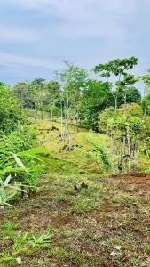 Φωτογραφία από το άλμπουμ του Private rainforest villa up to 8 guests w jacuzzi near Rio Celeste σε Upala