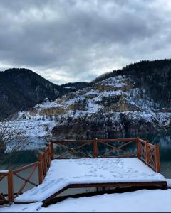 a wooden bridge in the snow next to a body of water at Zoranovi konaci in Jevtići