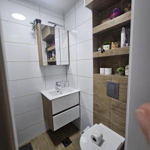 Ένα μπάνιο στο FRIENDLY HOME +13 φωτογραφίες