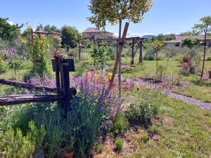 a garden with purple flowers and a wooden fence at La Gourmandine -Gîtes in Courry +19 photos