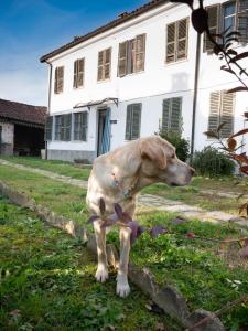 Imagen de la galería de CASA di BIMBA, en Quarto 20 fotos más