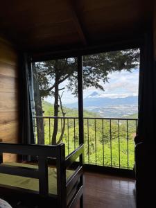 a room with a window with a view of a tree at Vista Encantada Hotel in Villa Canales