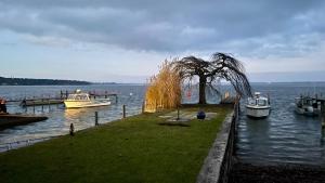 Φυσικό τοπίο κοντά σε αυτό το διαμέρισμα