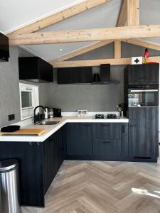 Η κουζίνα ή μικρή κουζίνα στο Luxe nieuwbouw chalet aan het water