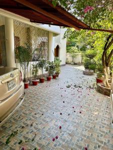 Κήπος έξω από το Sribhumi Homestay