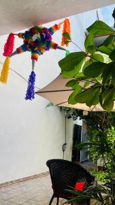 Un jardín fuera de The Secret Room Hostel & Spa