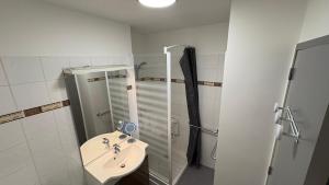 Et badeværelse på Bel appartement ski les 3 vallées et Thermalisme + 70 billeder