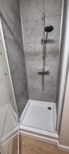 una ducha con puerta de cristal en un baño en Appartement proche Grand Parc 1 Chambre, en Mauléon