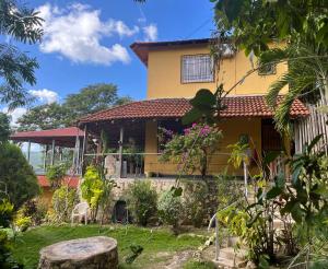 Zahrada ubytování Casa Alemán + 64 fotografií