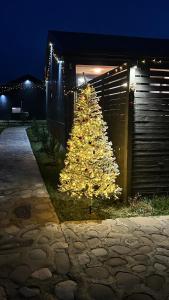 Fotografie z fotogalerie ubytování Shahdag Berghoff House v destinaci Qusar