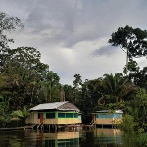 Un paisaje natural cerca del complejo de cabañas