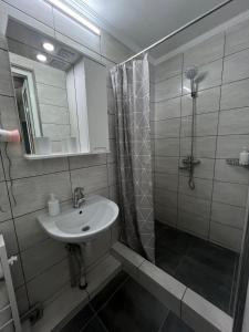 een badkamer met een wastafel en een douche bij Яблунева садиба  +21 foto's