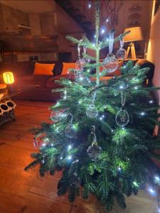 Galería fotográfica de Le Mans 70 Duplex 