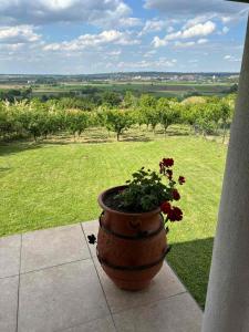 Φυσικό τοπίο κοντά σε αυτή η βίλα