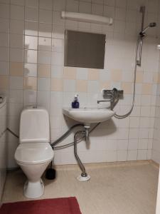 Ένα μπάνιο στο Rivitalohuoneisto, Kinnula