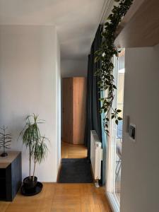 Φωτογραφία από το άλμπουμ του Apartman *Joy* στο Όσιγιεκ