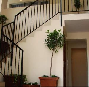 Shalom Guest House في ايدنفيل: درج مع مزرعتين الفخار بجوار مبنى