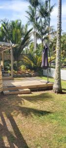 un paraguas colgando de un árbol en un parque en Darwin Cottage, en Kerikeri