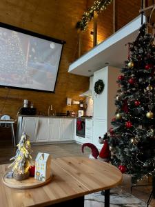 TV a/nebo společenská místnost v ubytování Cabana Zeneris + 95 fotografií